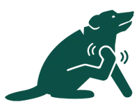 Vital Gut, Happier Dog