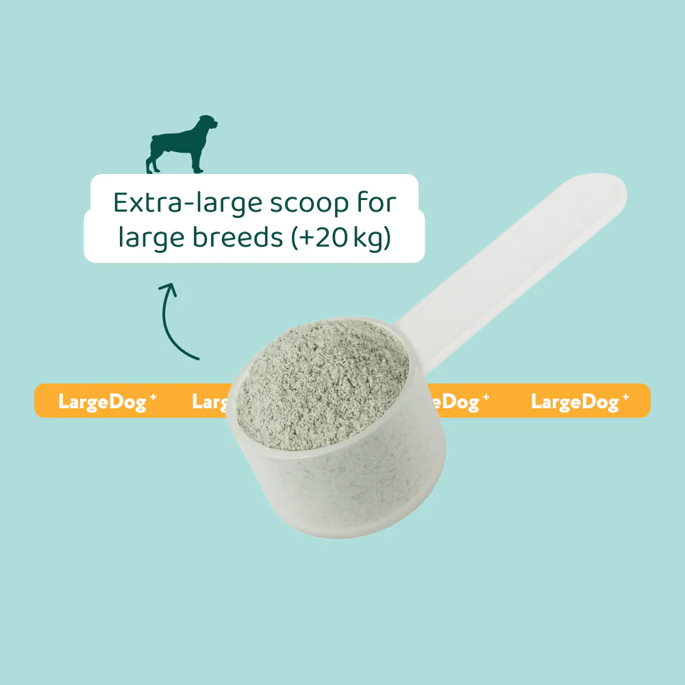 LargeDog⁺ Dental Bright™ 🌿 100% natural 🫙 60 scoops - Image 5